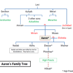 Aaron's son in bible crossword