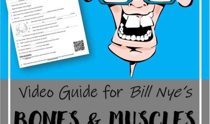 Bill nye bones and muscles worksheet