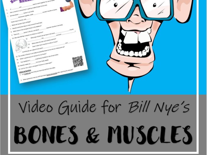 Bill nye bones and muscles worksheet